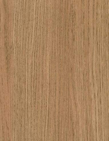 Lineal Oak